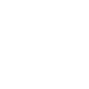 _ColorLogo Alioze