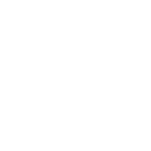 Logo Mobilitas_Color