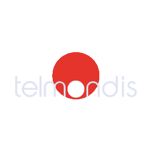 Logo Telmondis_Color