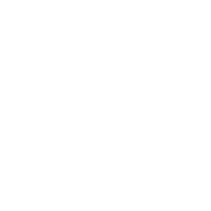Logo BMW_Color